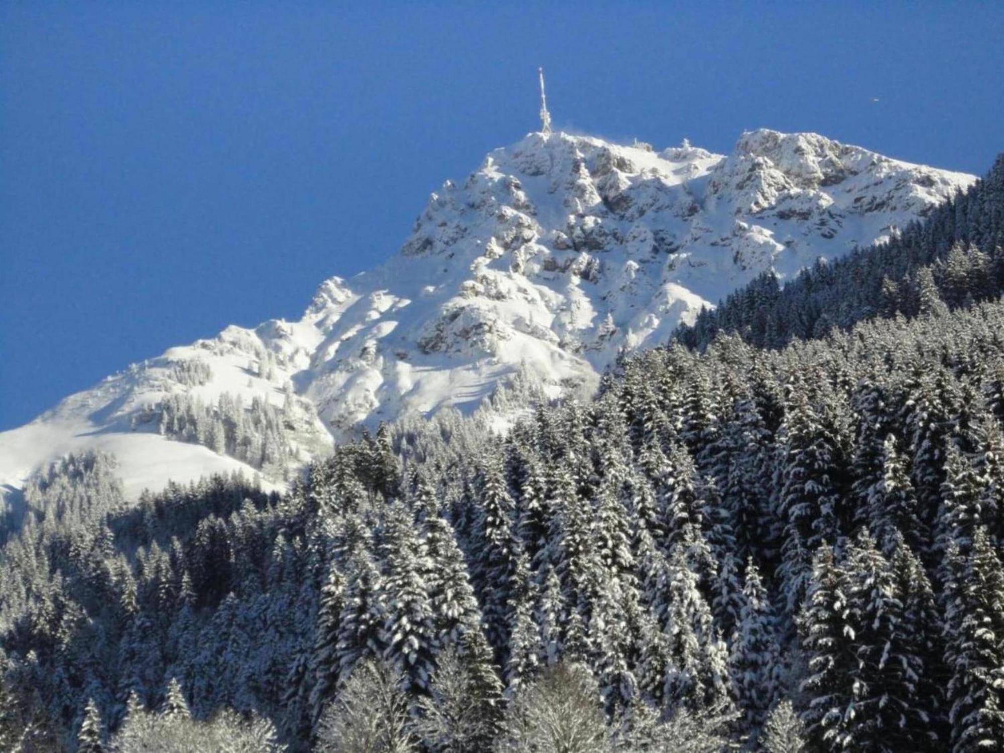 Cozy In Near Lift *