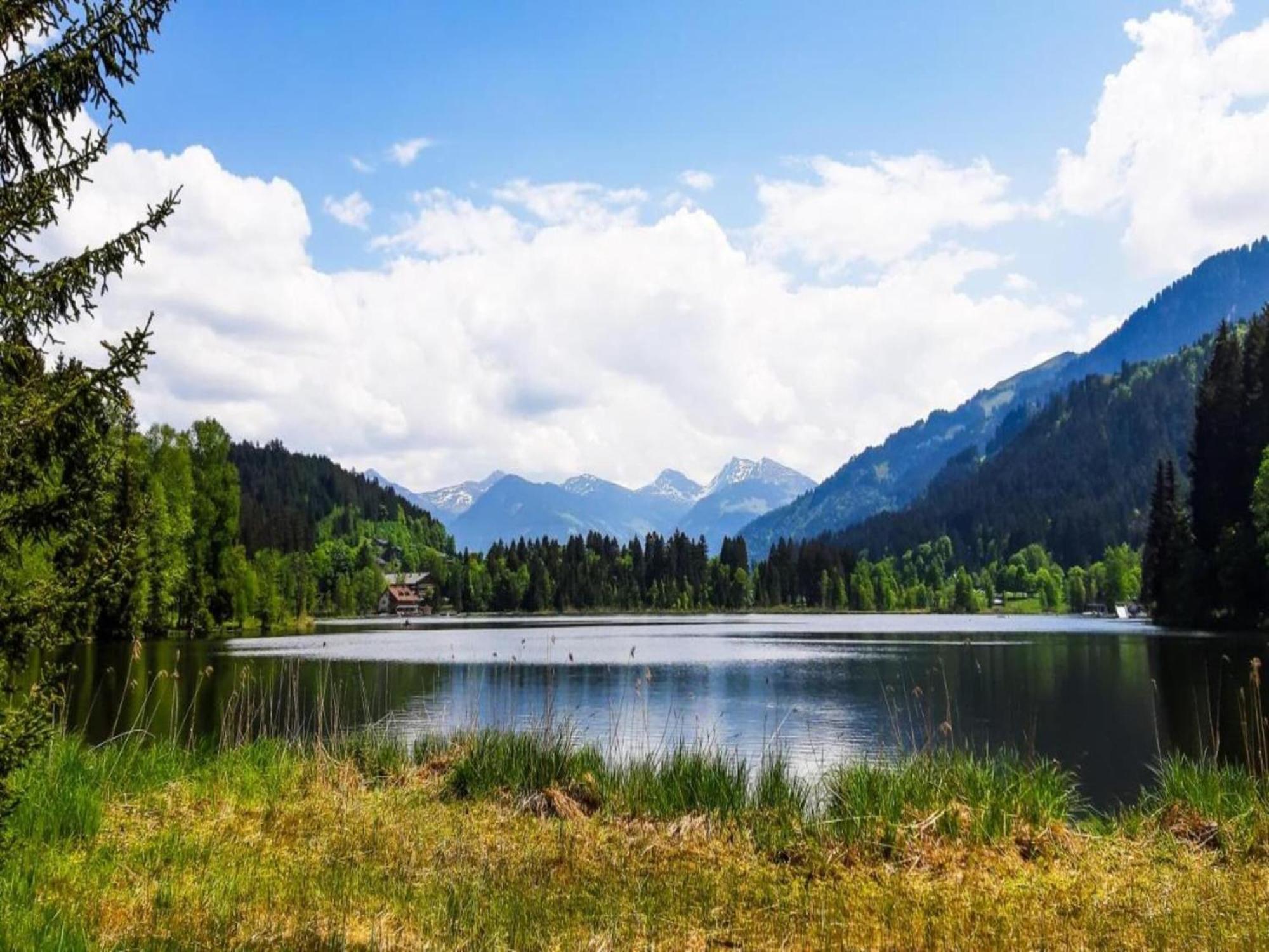 Apartment Cozy In Near Lift Aschau Im Zillertal