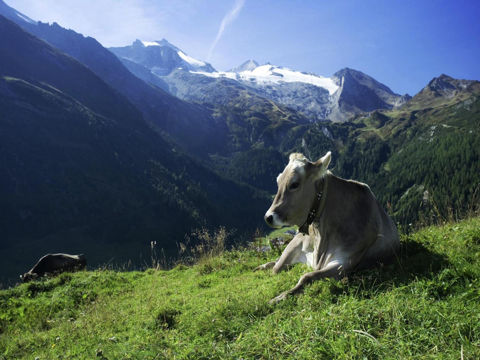 Cozy In Near Lift * Aschau Im Zillertal